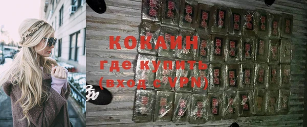 прущие грибы Губаха