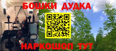 прущие грибы Бузулук