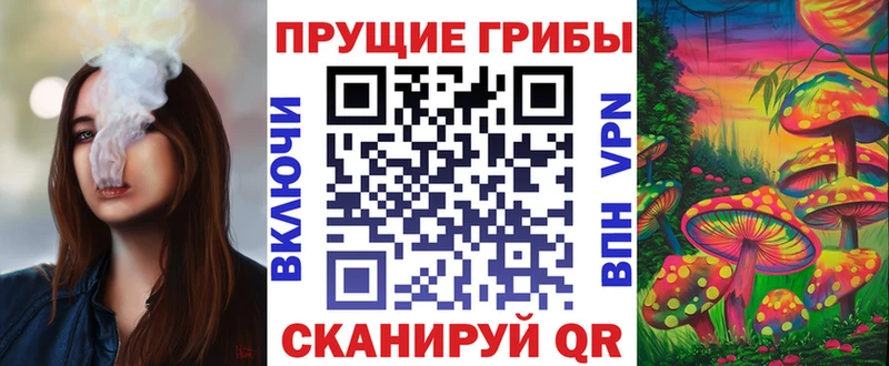 OMG tor  Канаш  Галлюциногенные грибы Psilocybe 
